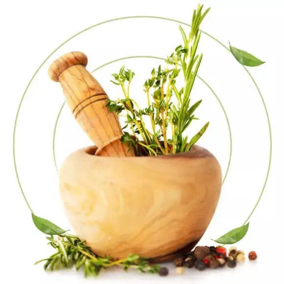Ayurvedic Wellness